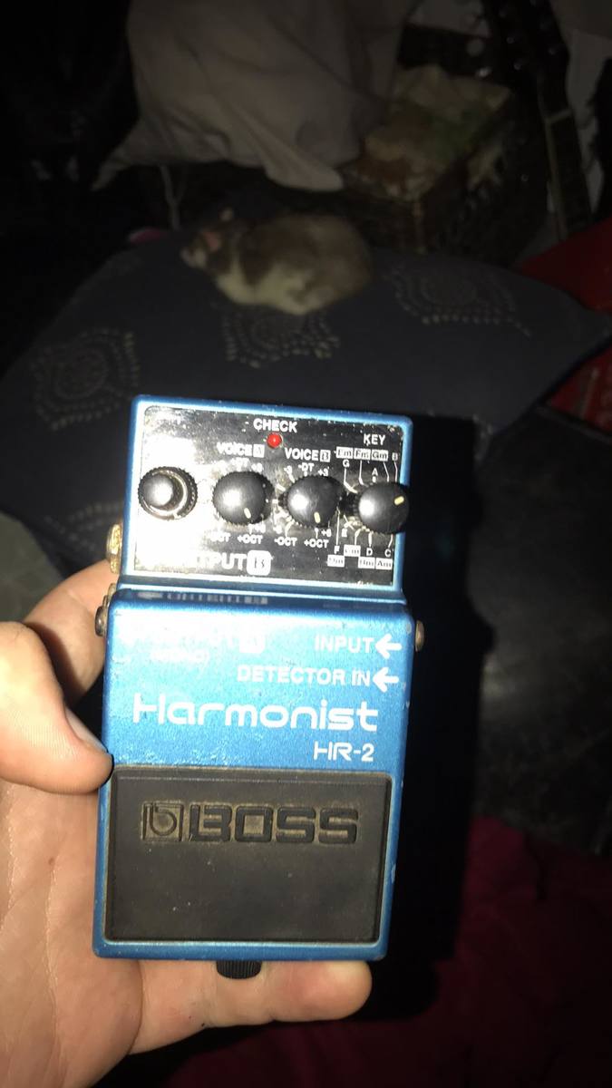 Music Gear Setup by matthewjwilesmith featuring Boss HR-2 Harmonist