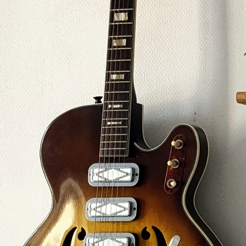 Photo of Silvertone 1429 in a guitar