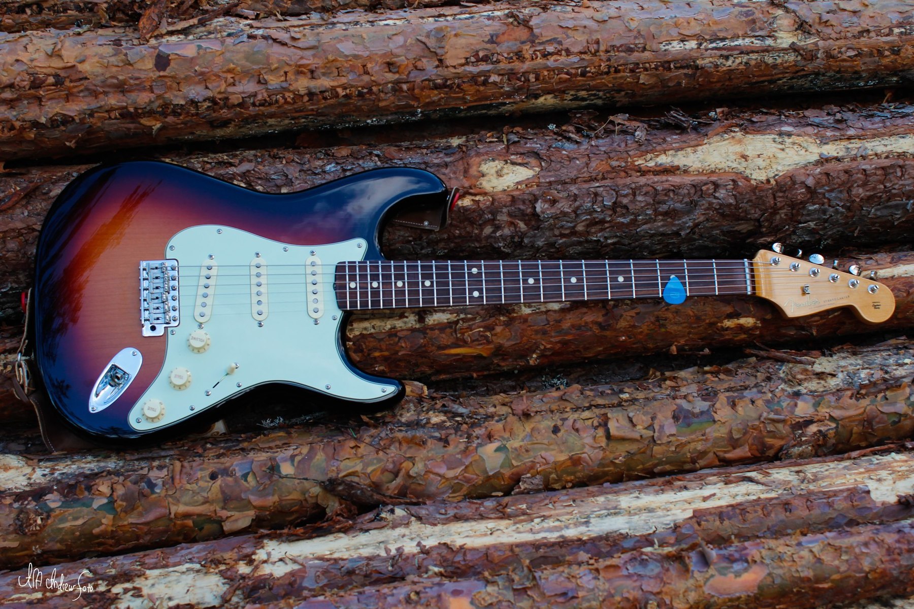 alf_andrew_pedersen's music gear photo