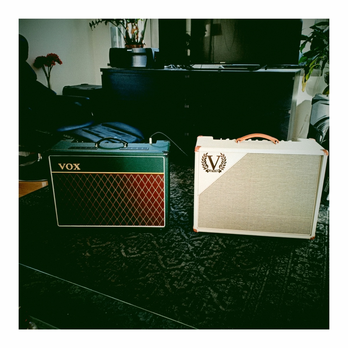 Country Music Gear Setup by mats_pettersborg featuring Vox AC15C1 and Victory V40 Deluxe