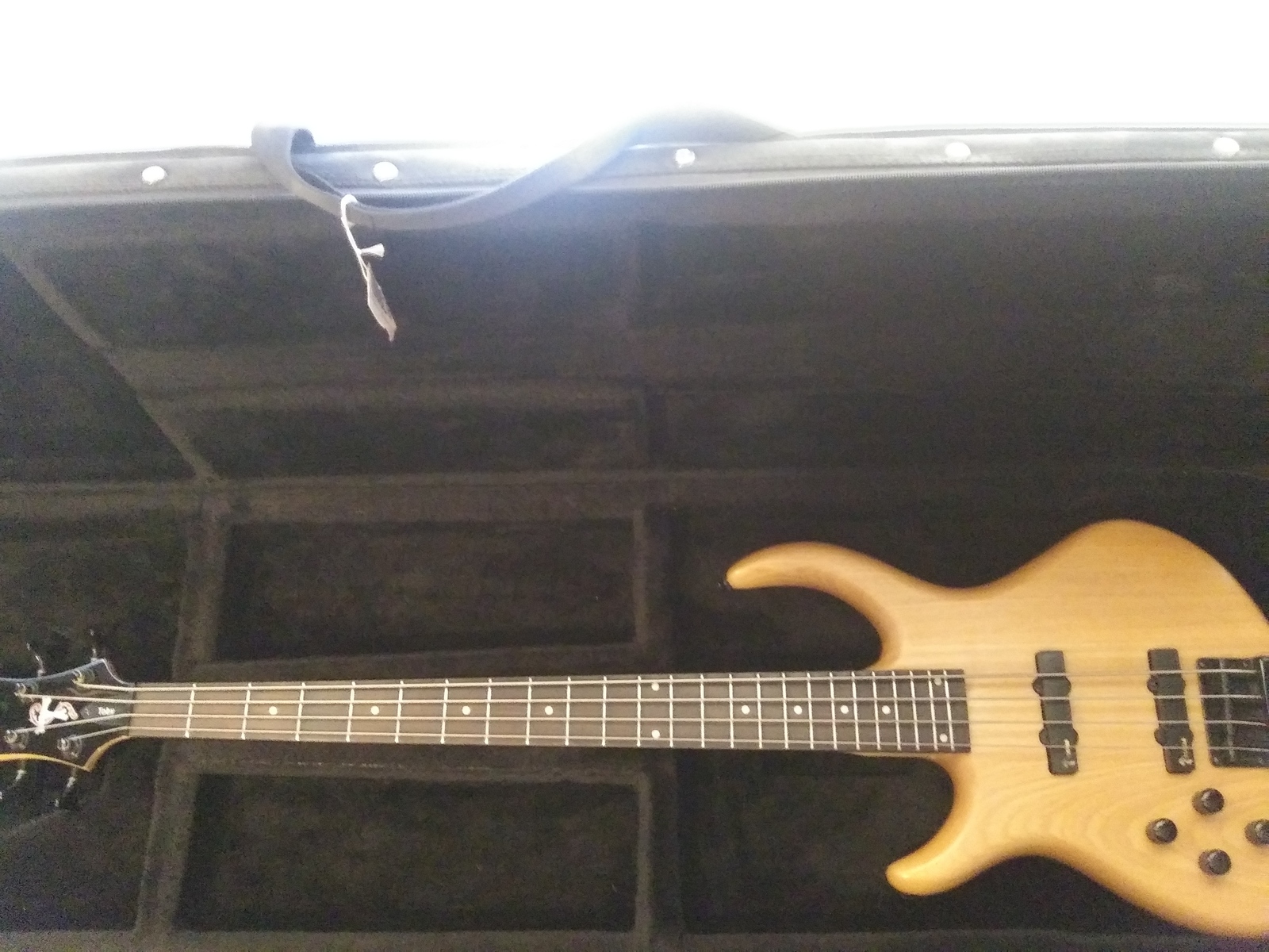 ray_dinardo's music gear photo
