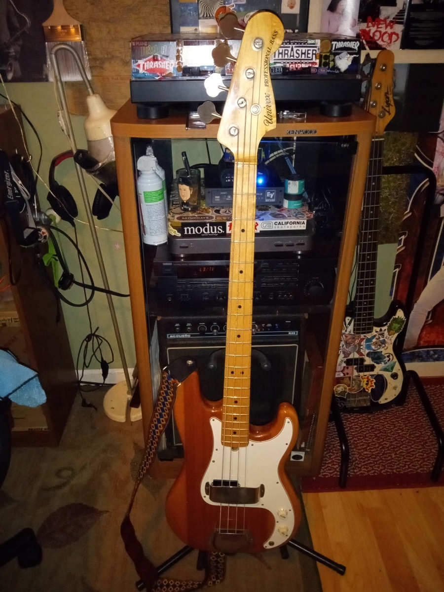 deepseadiverindoubt's music gear photo