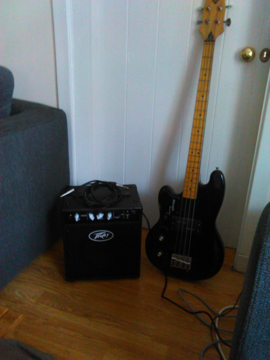willholland100's music gear photo