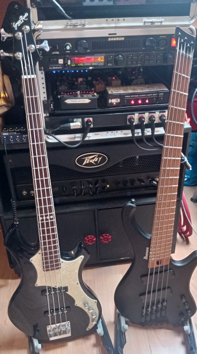 Metal Amp Rig by kaelatrius featuring Ibanez Bass Workshop EHB1005MS Bass Guitar and Peavey 3120 120W Tube Guitar Amp Head