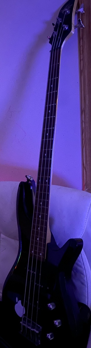 venomouspontifex's music gear photo