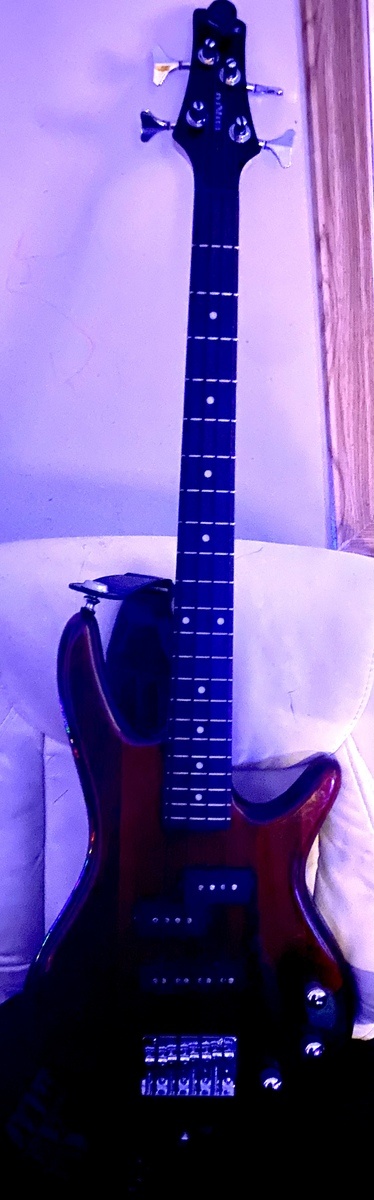 Music Gear Setup by venomouspontifex featuring Ibanez GSRM20 (duplicate)
