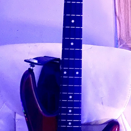 venomouspontifex's gear photo