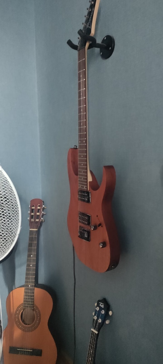 Music Gear Setup by timmapper featuring Ibanez RG421MOL