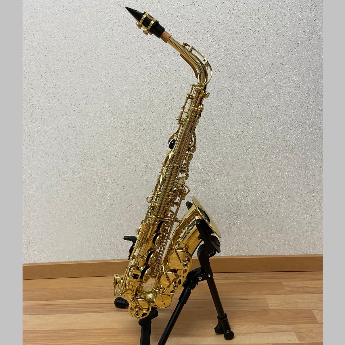 michaelschach1's music gear photo