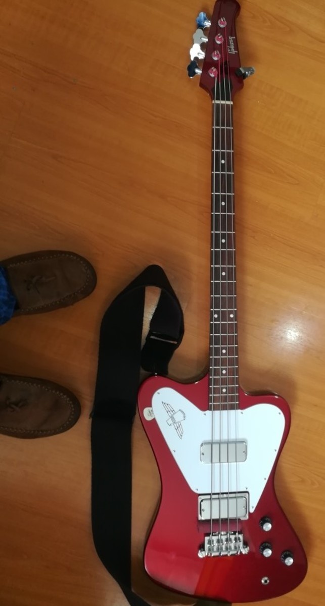 Music Gear Setup by bobyoung53 featuring Gibson Thunderbird Non-Reverse