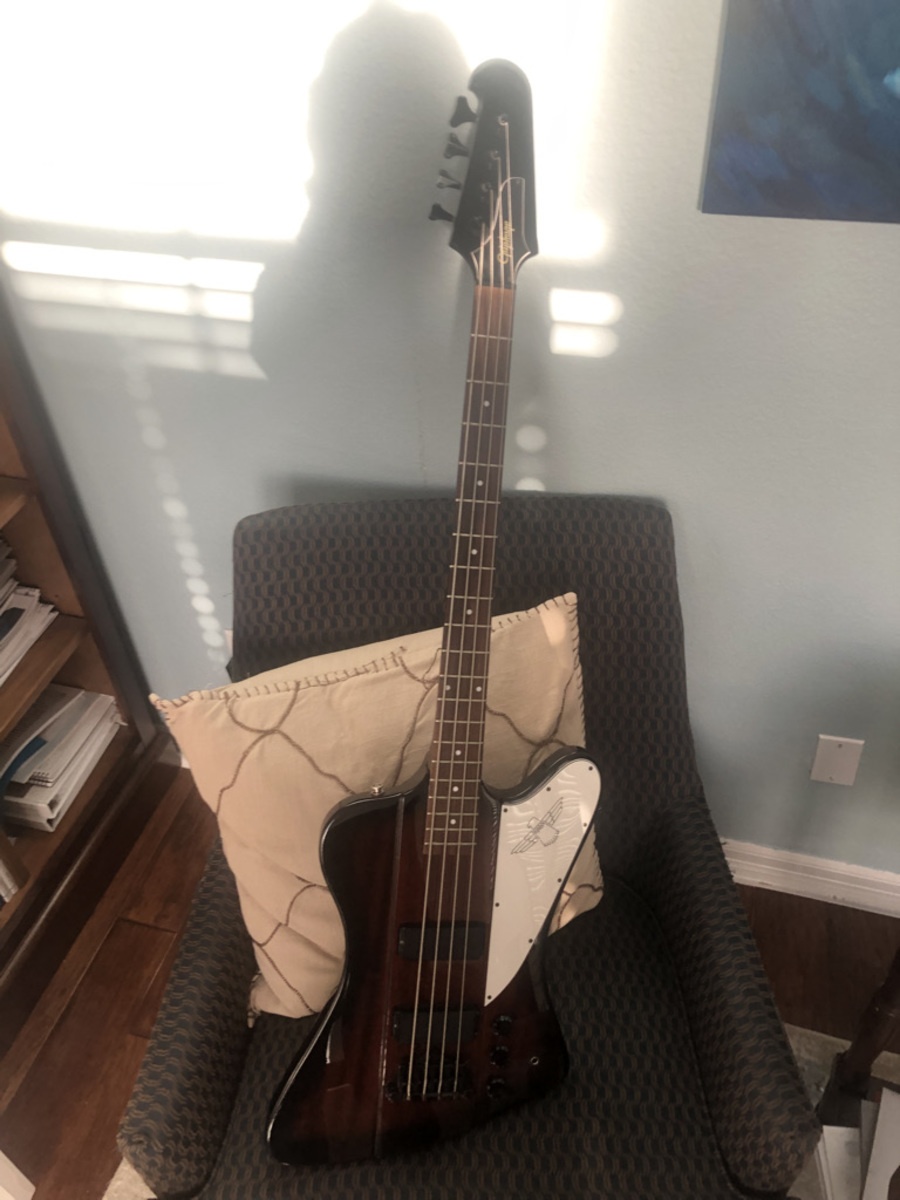 Music Gear Setup by davidmjagger featuring Epiphone Thunderbird Bass