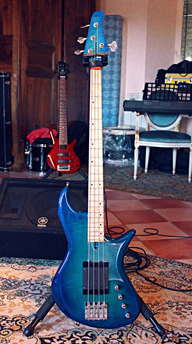 antho8101's music gear photo
