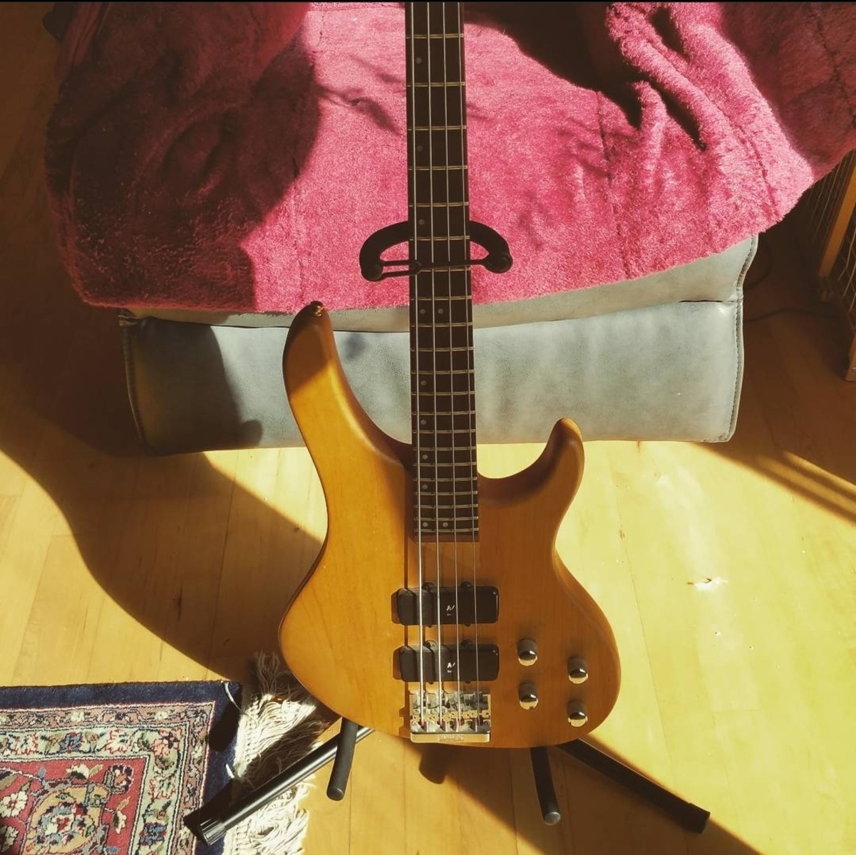 Music Gear Setup by pr4xxis featuring Washburn bantam xb-400