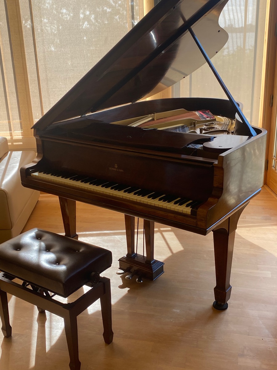 Synth Setup by wj2006 featuring Steinway & Sons Model M Grand Piano