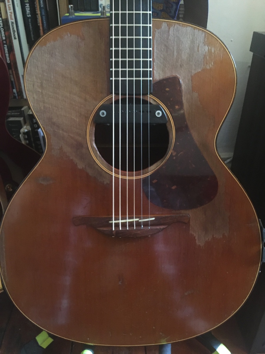 paulcx's music gear photo