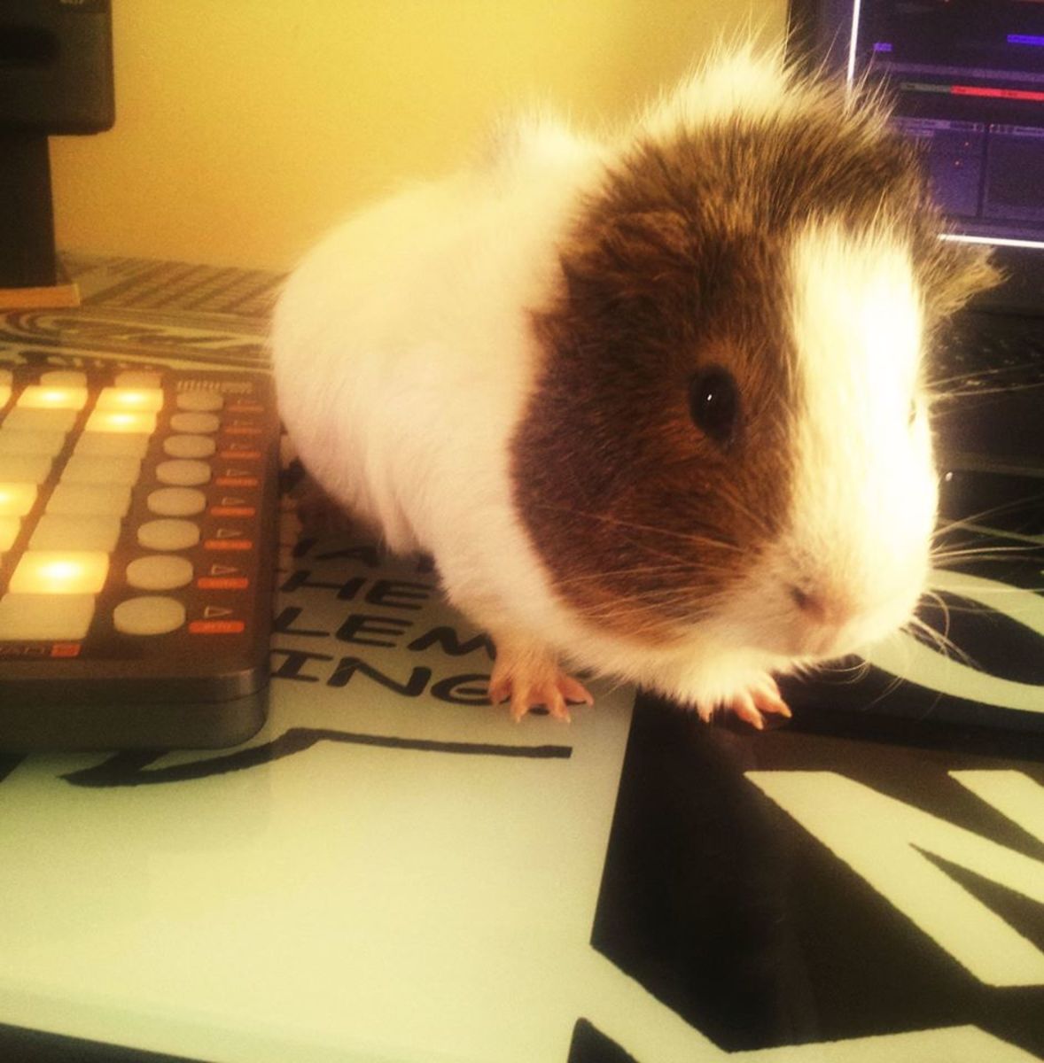 k4os's music gear photo