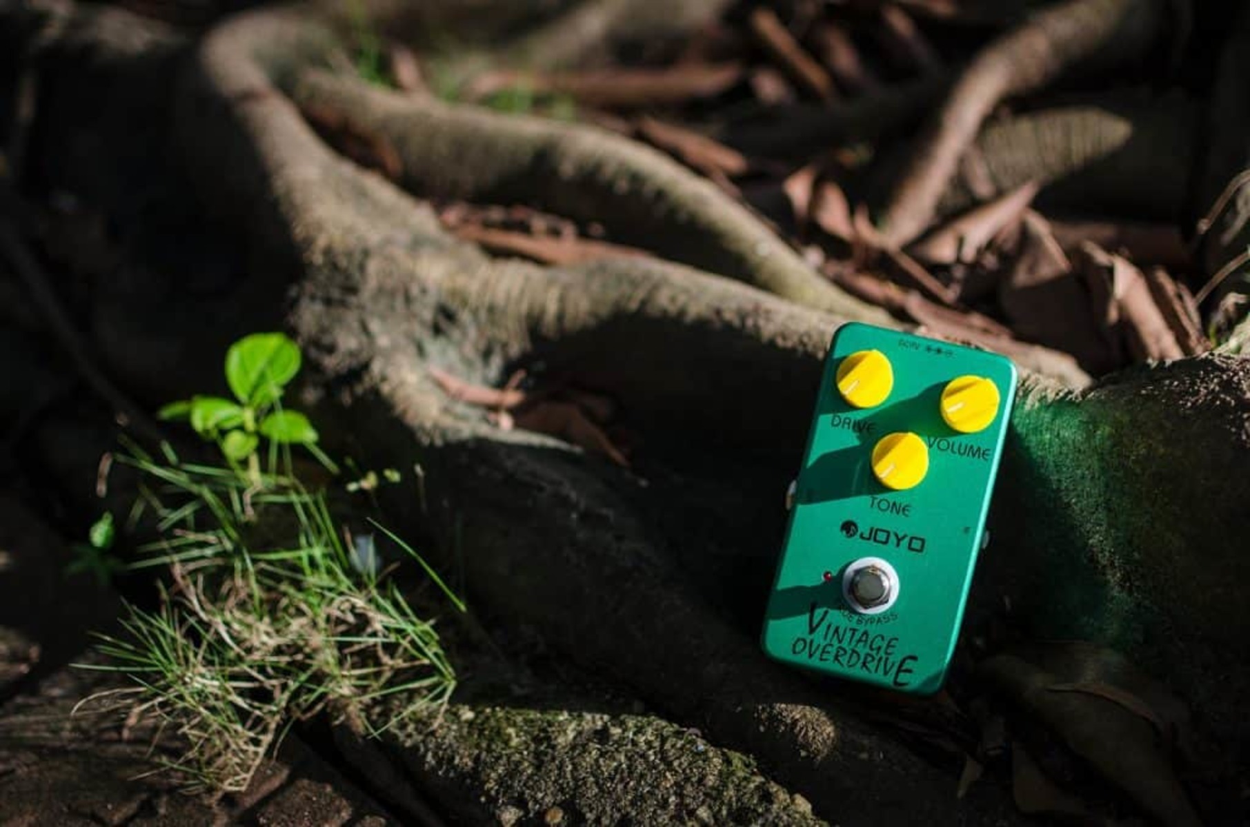 andre_britto's music gear photo