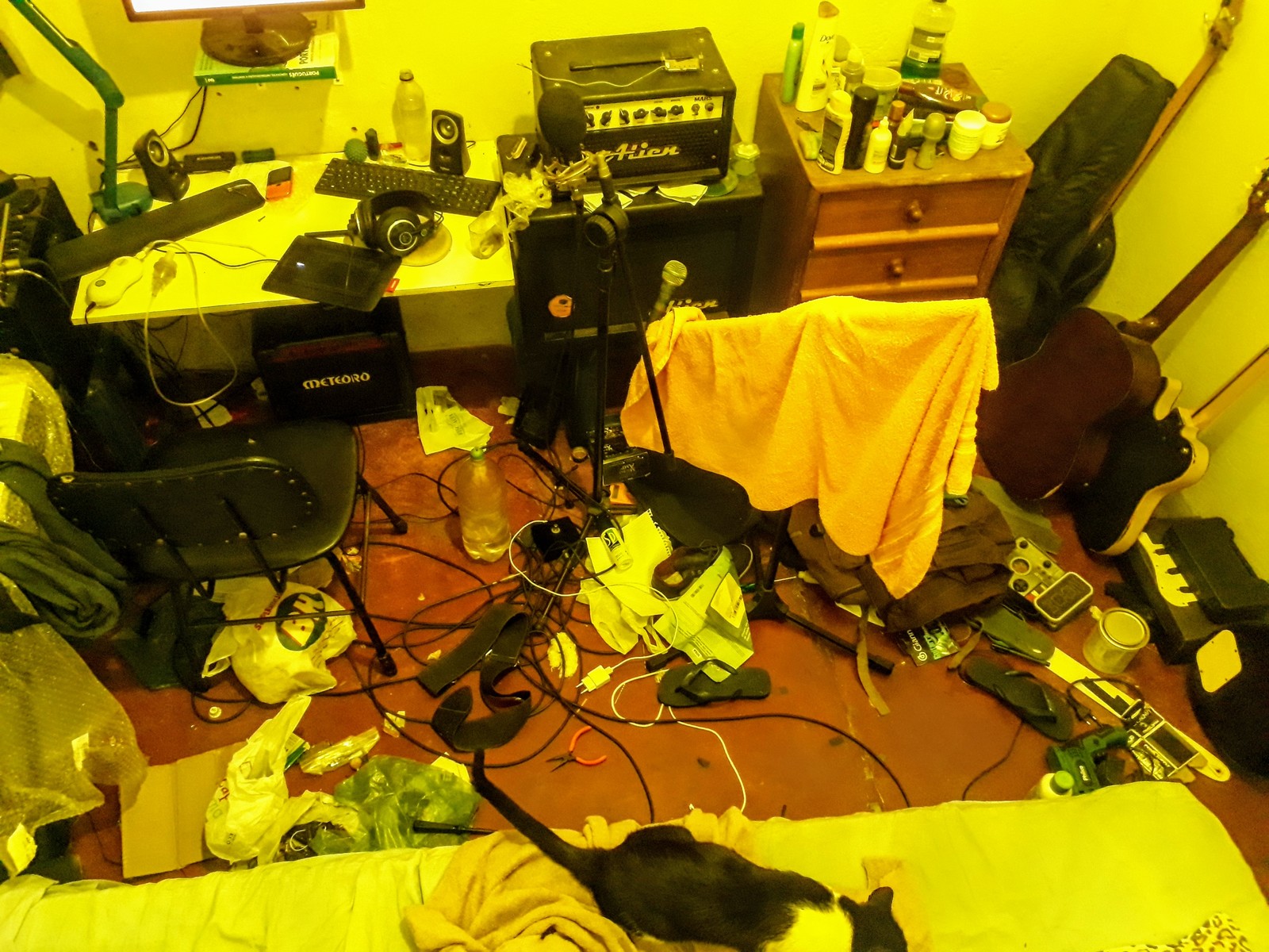 catrapistsamuelcampos's music gear photo