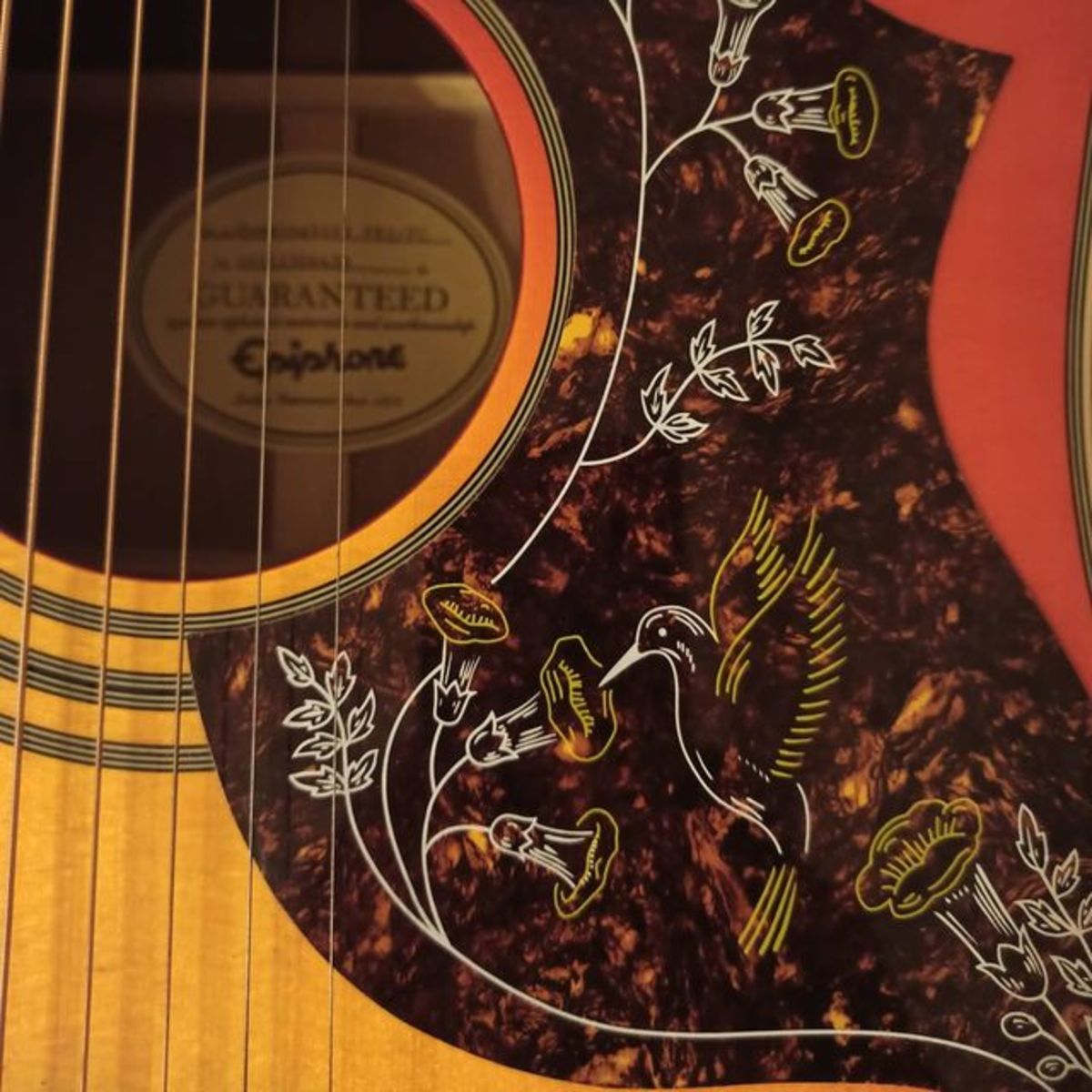 Music Gear Setup by hakanbaysal featuring Epiphone Modern Collection Hummingbird PRO
