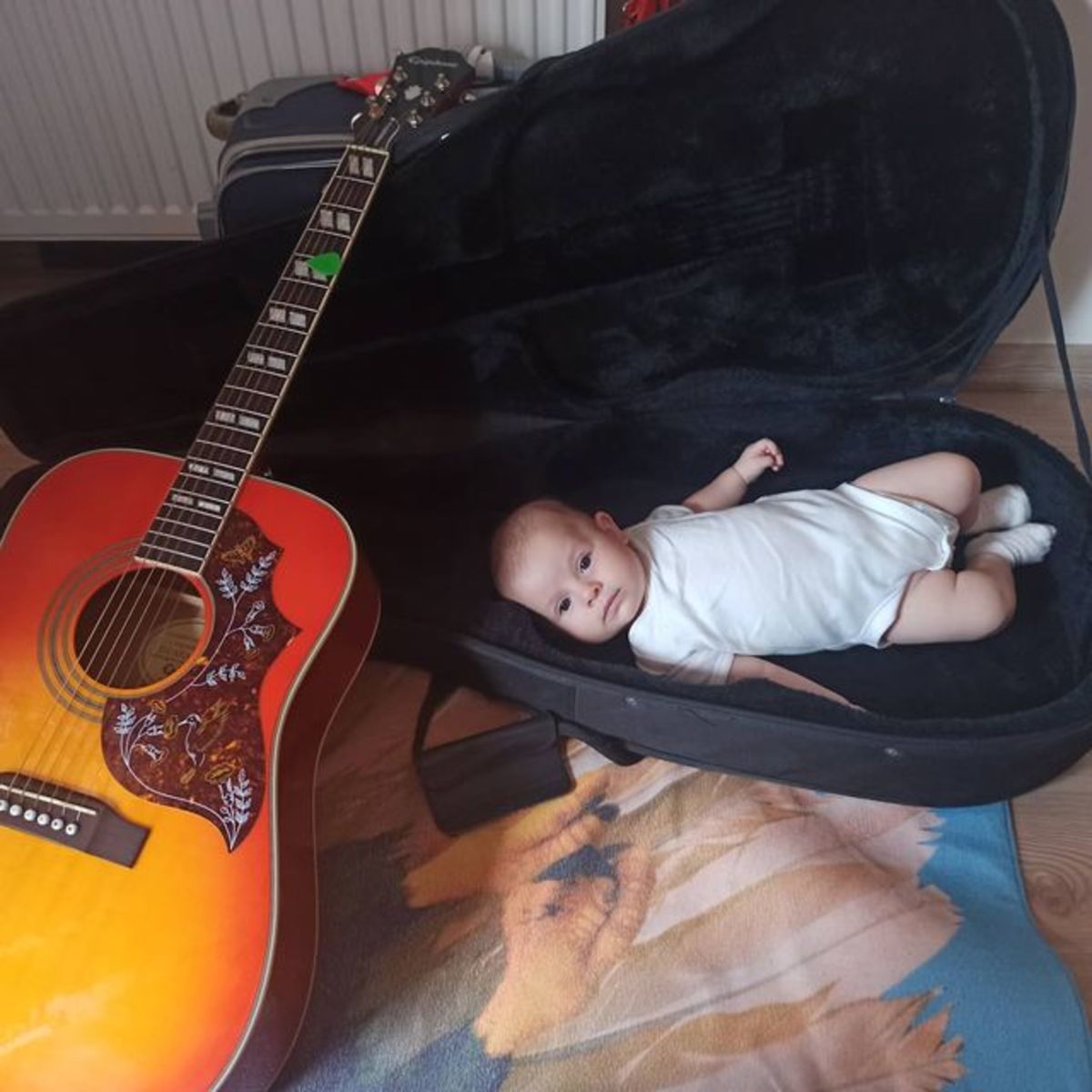 Music Gear Setup by hakanbaysal featuring Epiphone Modern Collection Hummingbird PRO