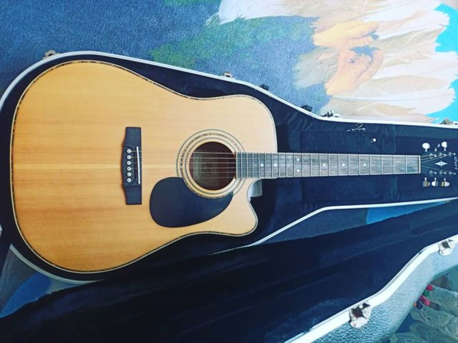 Music Gear Setup by hakanbaysal featuring Cort AD880CE-NS