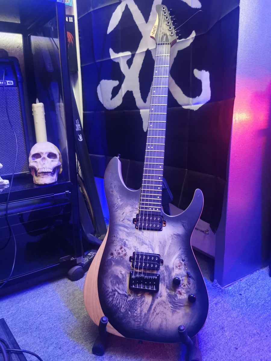 Music Gear Setup by fvckthealgorithm featuring Schecter Reaper-6