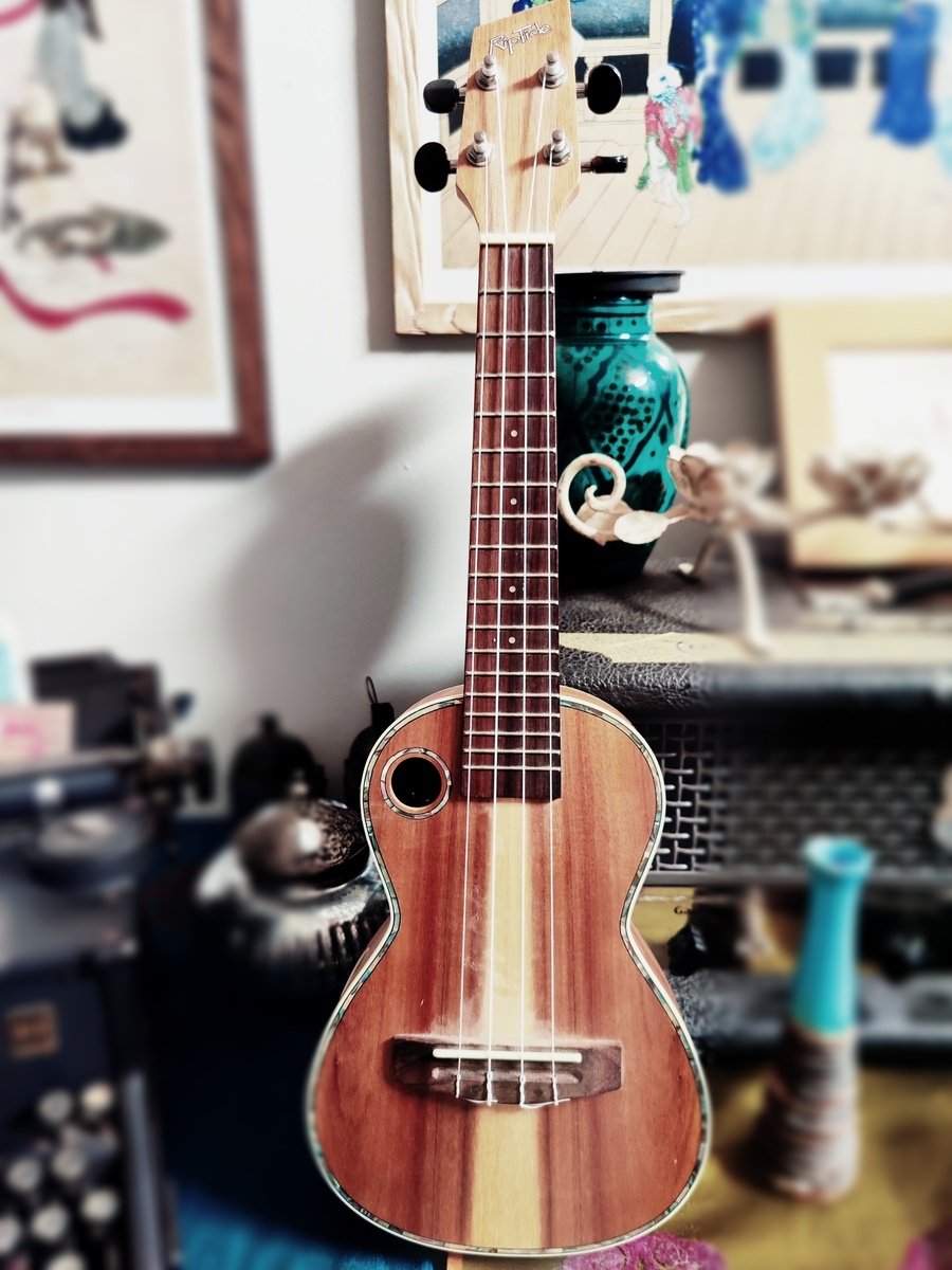 Studio Setup by michele_bidread_passeri featuring Riptide EUT-5NS Acoustic Electric Tenor Ukulele