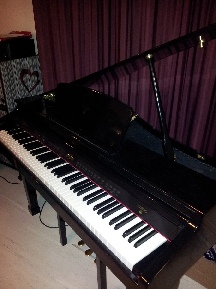 dongosling's music gear photo