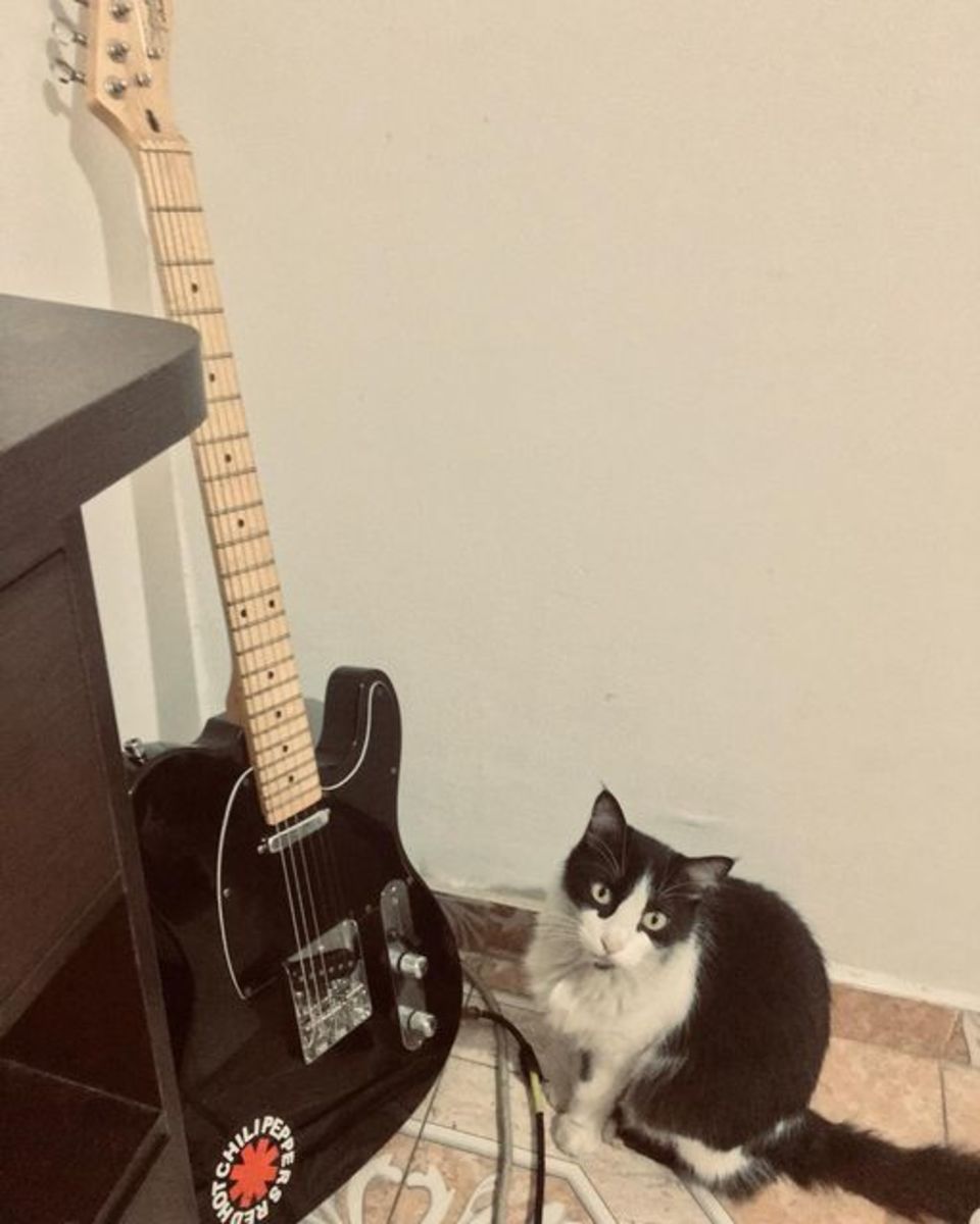jhuliampicon's music gear photo