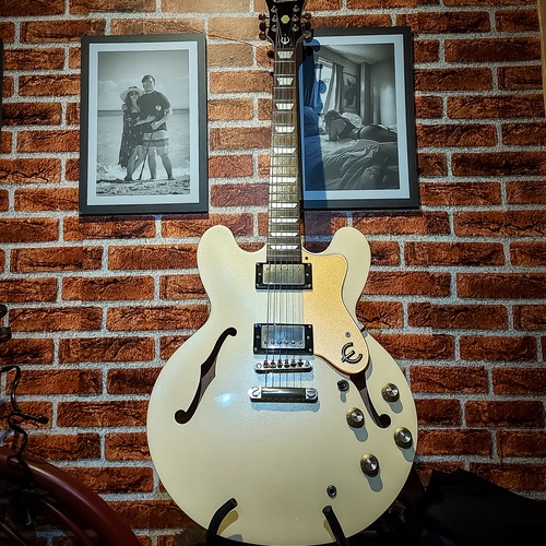 Photo of Epiphone Dot Royale in a guitar