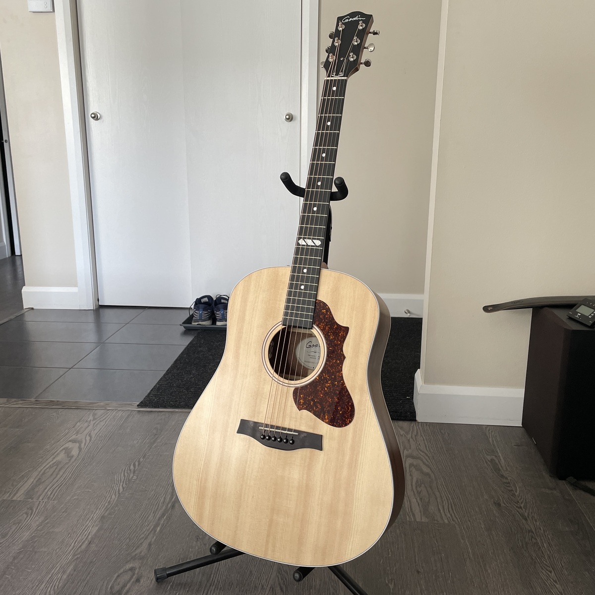Music Gear Setup by jmgaudreau featuring Godin Metropolis EQ Limited