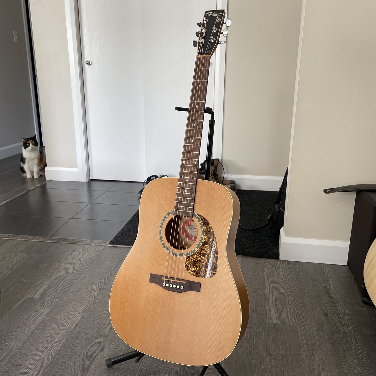 Music Gear Setup by jmgaudreau featuring Norman B-18 Acoustic Guitar