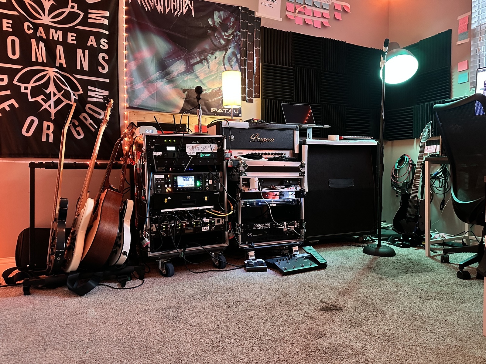 stevepeeleii's music gear photo