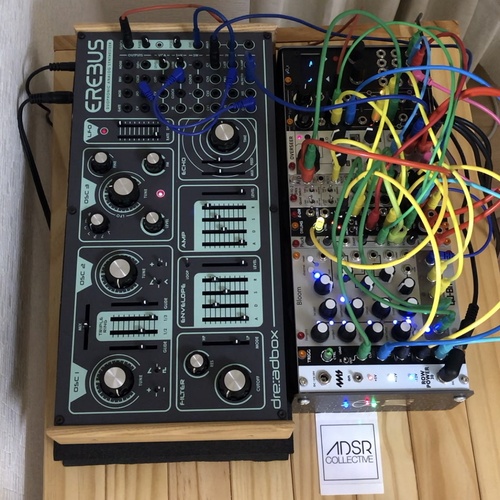 Photo of 2hp Pluck and more gear in a live and synths