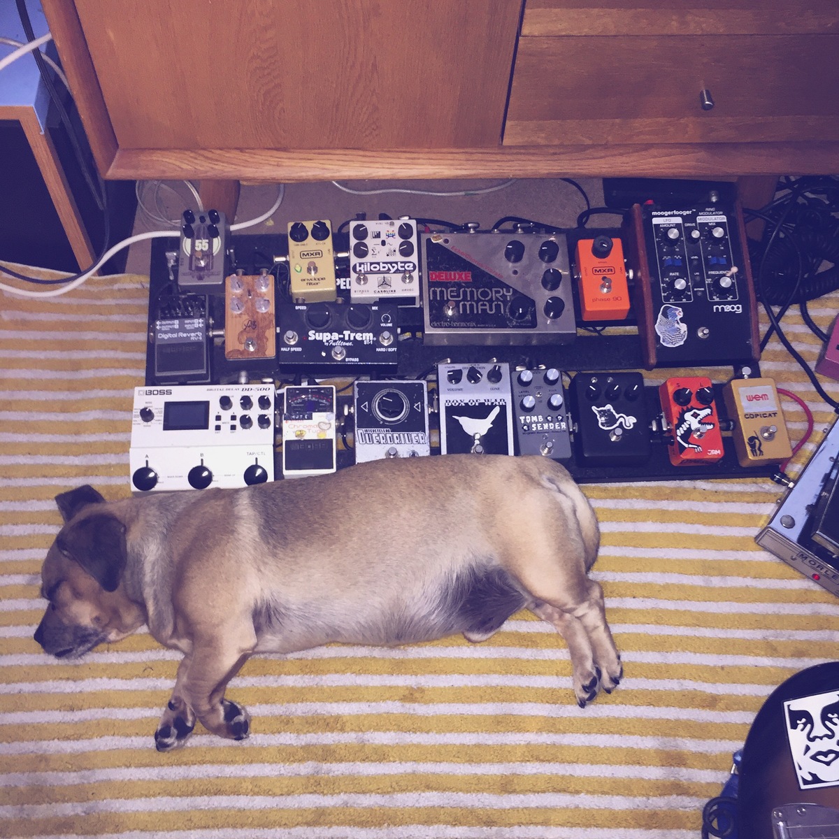 Music Gear Setup by neale_scott featuring Moog Moogerfooger MF-102 Ring Modulator, Electro-Harmonix EH-7850/EC-2000/EC-2002 Deluxe Memory Man, and Catalinbread Formula No. 55 and 14 more pieces of gear
