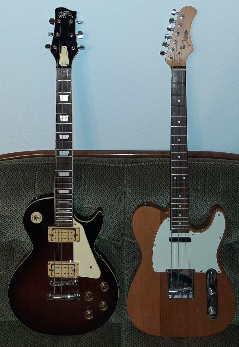 Music Gear Setup by ak79 featuring The Animal Les Paul Copy