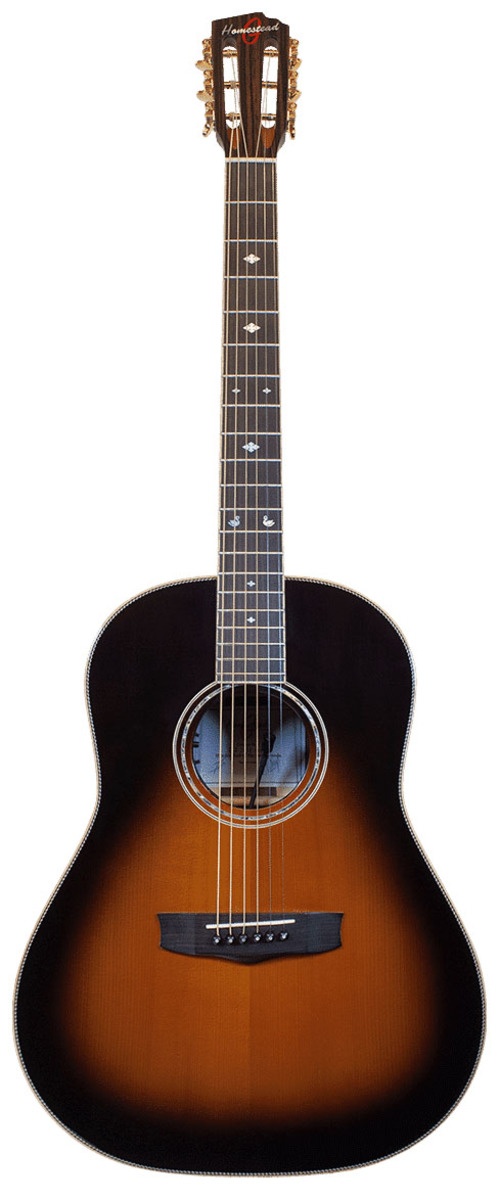 Music Gear Setup by lynxguitar featuring Homestead Guitars