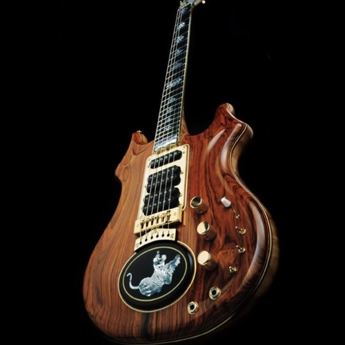 wipf's gear photo