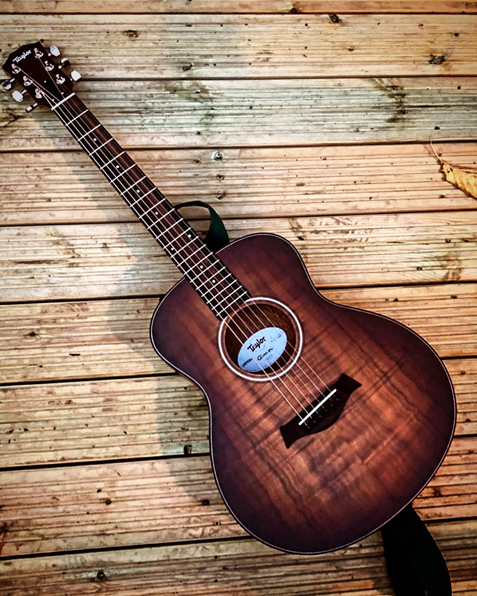 Music Gear Setup by baranicus featuring Taylor GS Mini-e Koa Plus