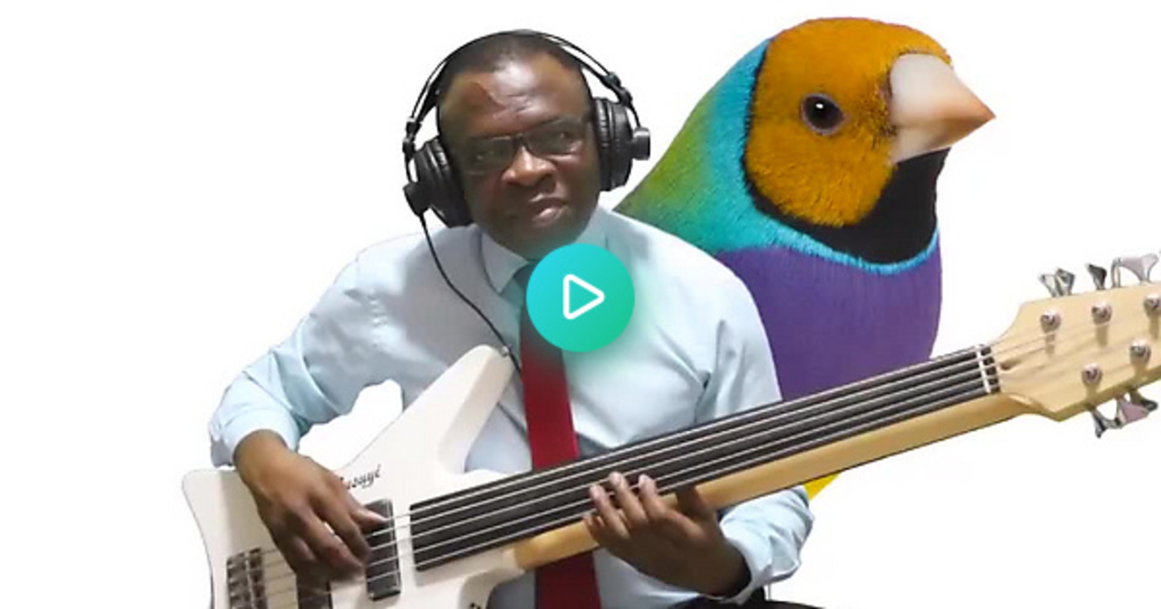 Music Gear Setup by isola_oluwabusuyi featuring Busuyi "Deep Ocean" Double-Sided Single-Neck Guitar/Bass