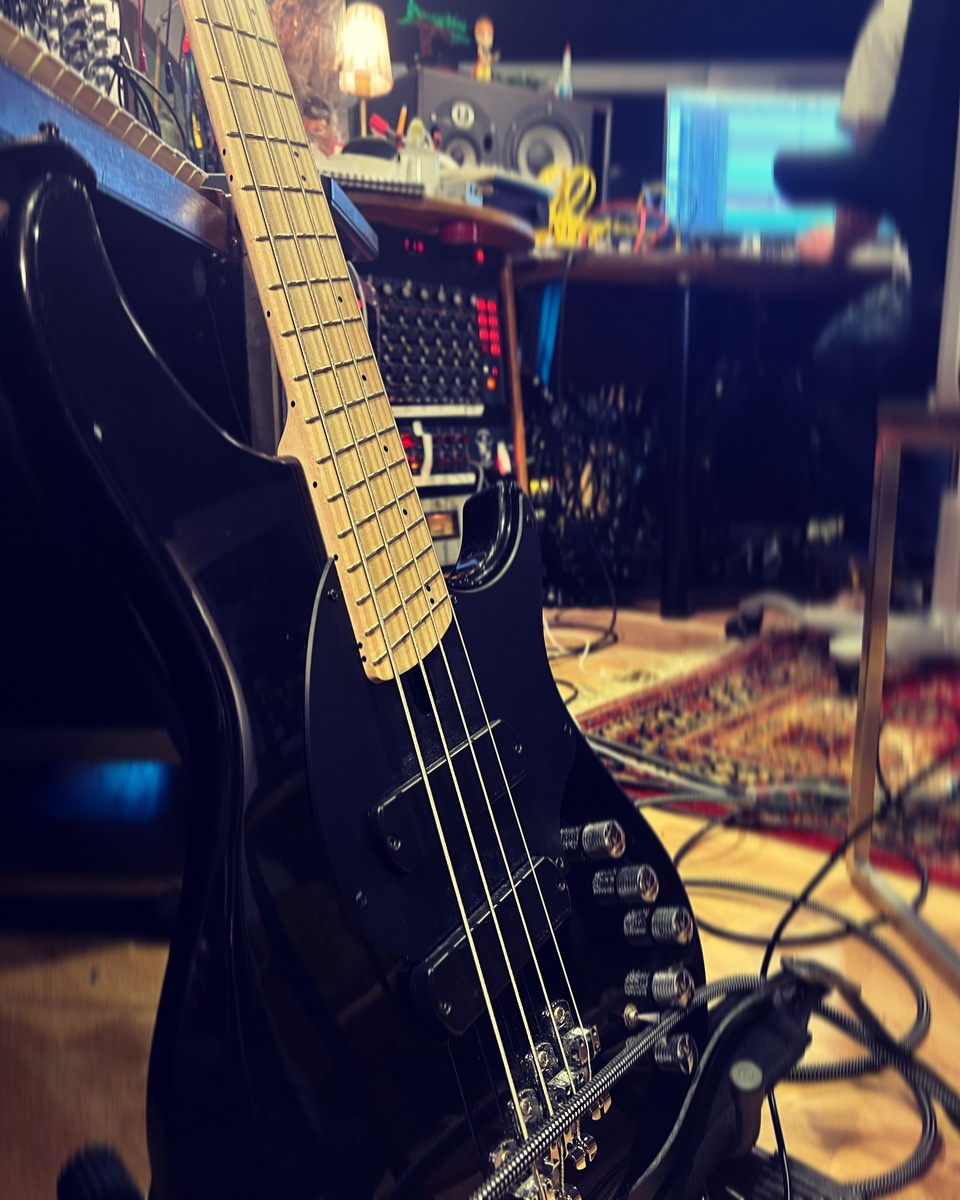 jonaz_anakin_leiknes's music gear photo