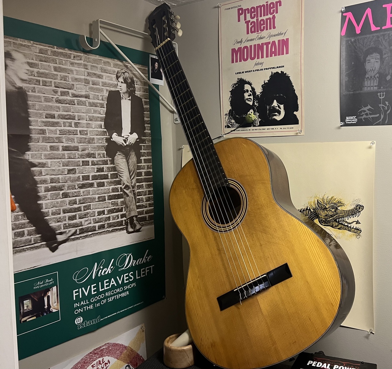 Music Gear Setup by nathandouble featuring Yamaha G-50
