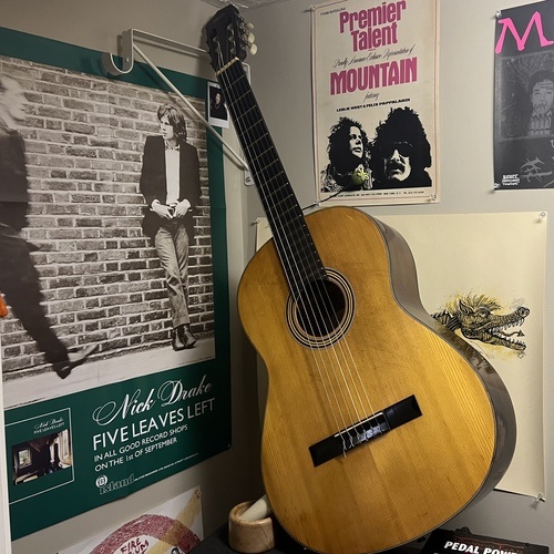Photo of Yamaha G-50 in a guitar