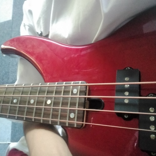 Photo of Yamaha TRBX 174 in a bass