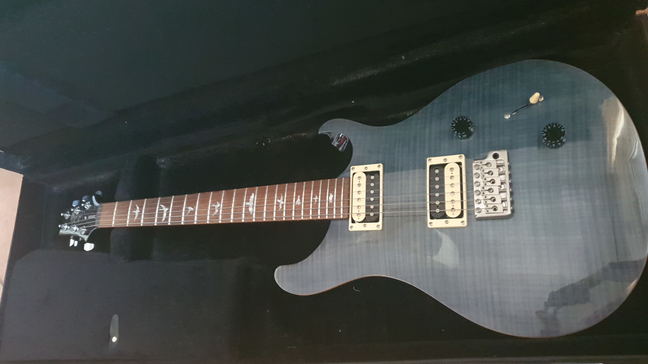 Music Gear Setup by syon featuring PRS SE Custom 22
