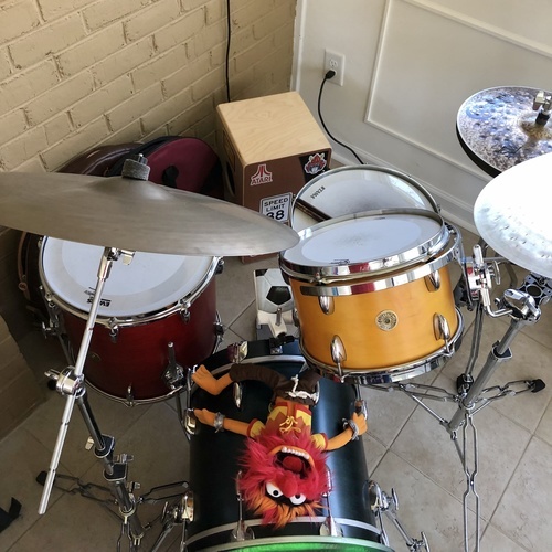 papajamajoe's gear photo