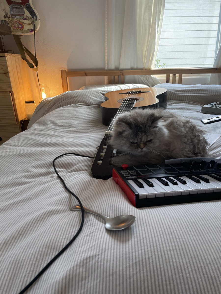 nikwad's music gear photo