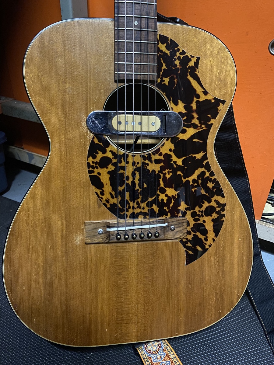 noah_tye's music gear photo