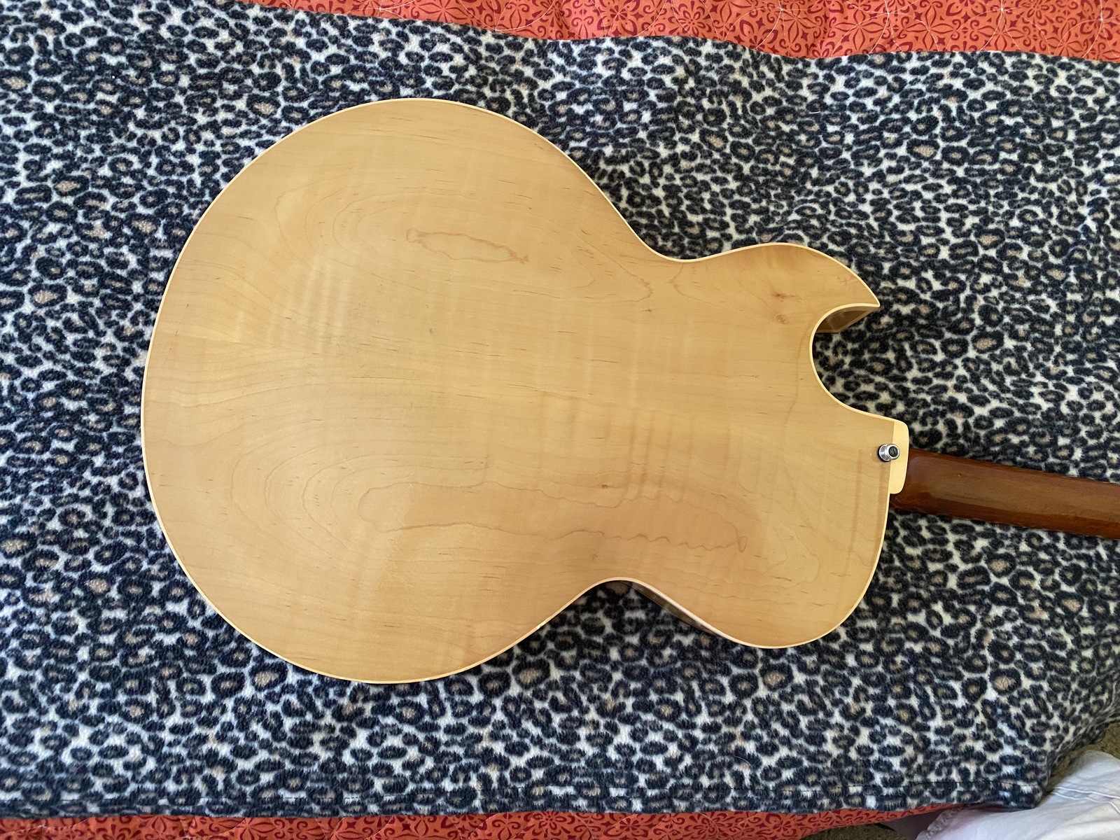 Music Gear Setup by lynda featuring Heritage H575