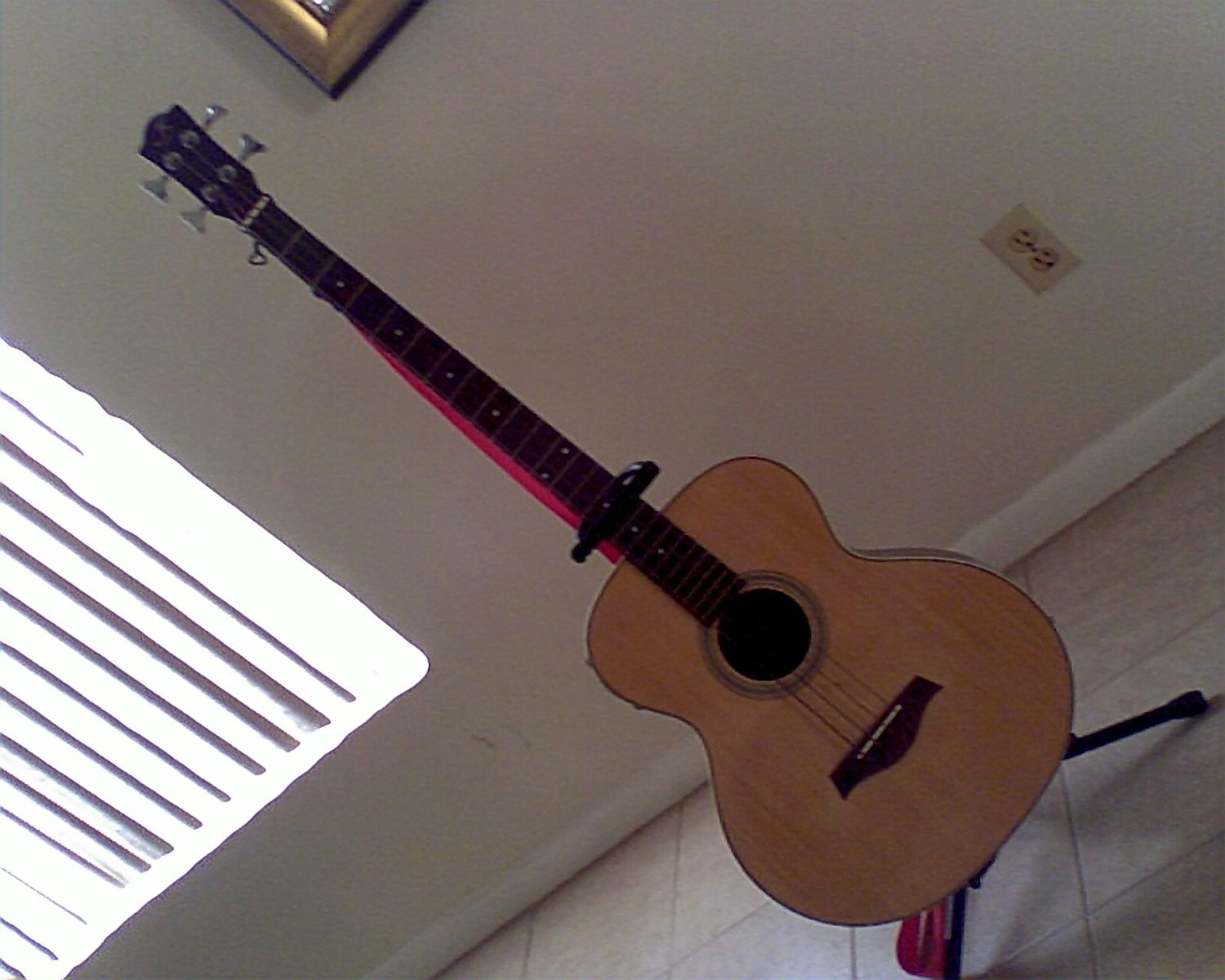 autibird4's music gear photo